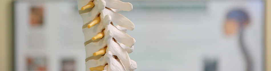 整体施術のイメージ